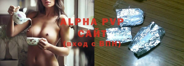 прущие грибы Кодинск