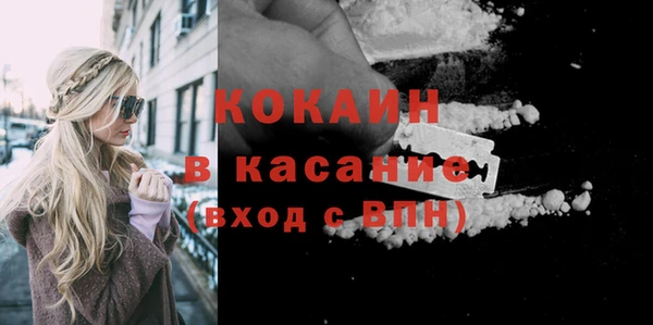 ГАЛЛЮЦИНОГЕННЫЕ ГРИБЫ Козловка