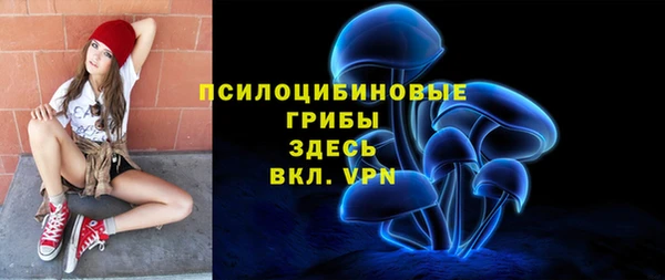 ГАЛЛЮЦИНОГЕННЫЕ ГРИБЫ Козловка