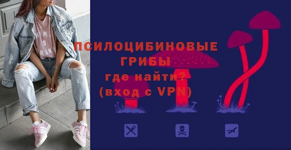 стафф Козельск