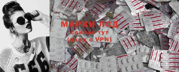 прущие грибы Кодинск