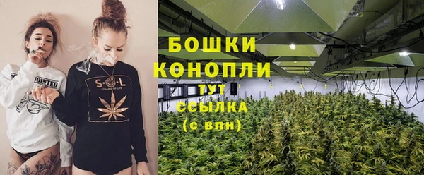 прущие грибы Кодинск