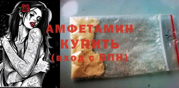 ГАЛЛЮЦИНОГЕННЫЕ ГРИБЫ Козловка