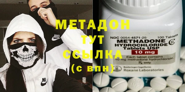 прущие грибы Кодинск