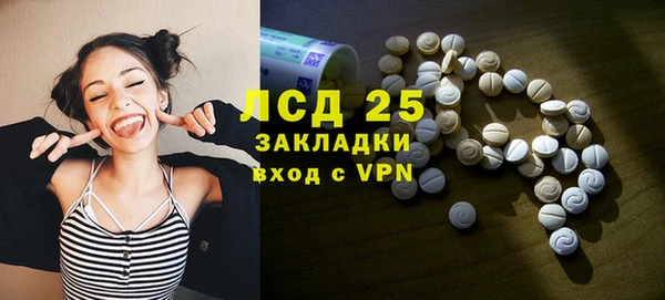 ГАЛЛЮЦИНОГЕННЫЕ ГРИБЫ Козловка