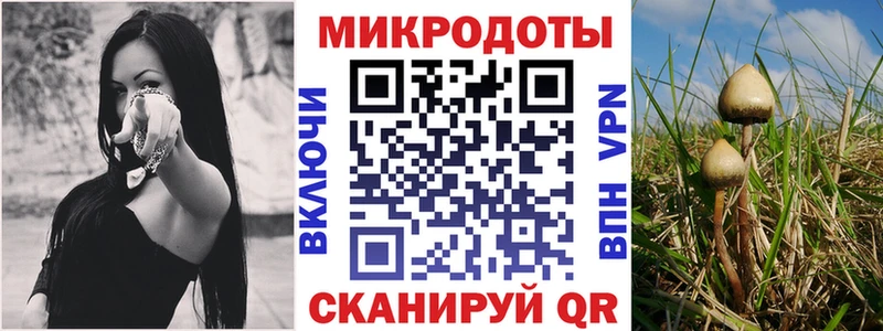 Псилоцибиновые грибы Cubensis Малоархангельск